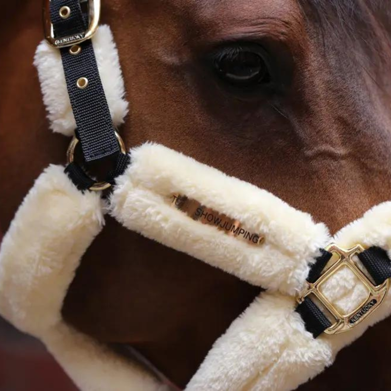 Kentucky Sheepskin Shipping Headcollar Natural-3